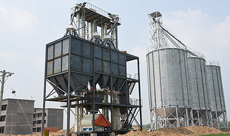 Animal feed pellet production line (ring die)