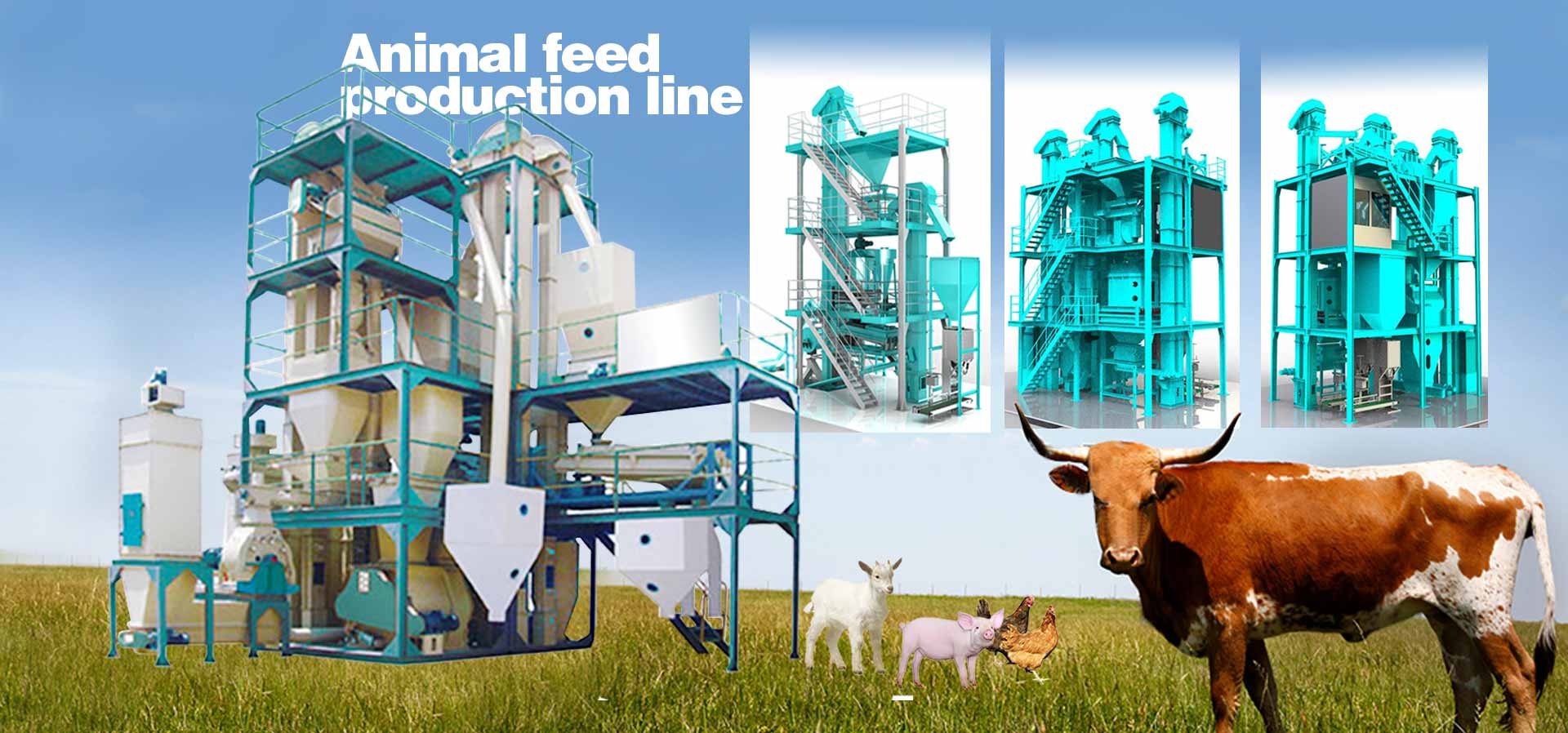 Animal feed production line