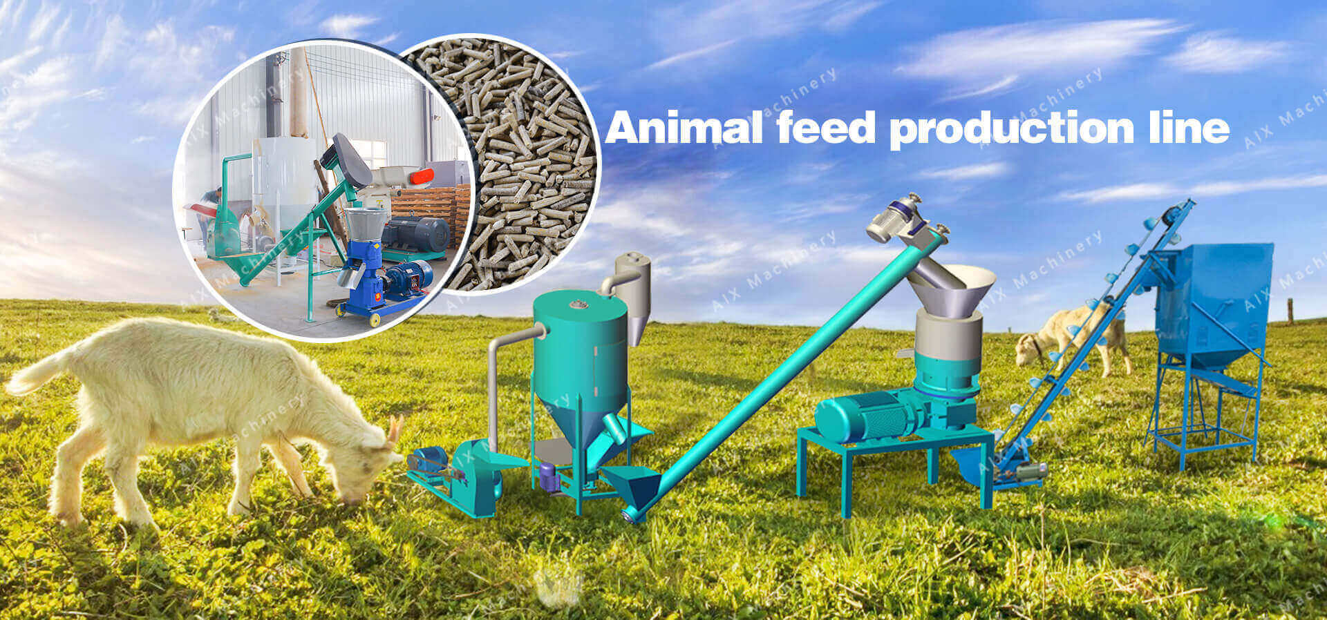 Small feed pellet production line