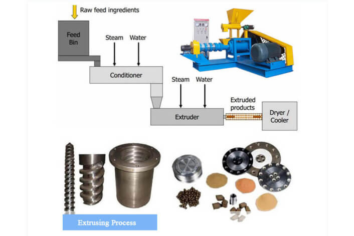 Fish feed extruder